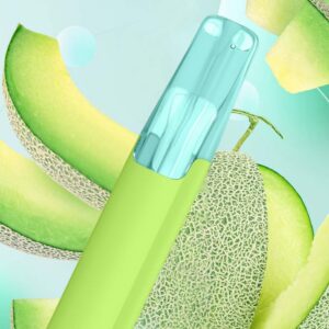 Taste Boosted DASH Sweet Honeydew [strict-source:90f019055f3123f5]